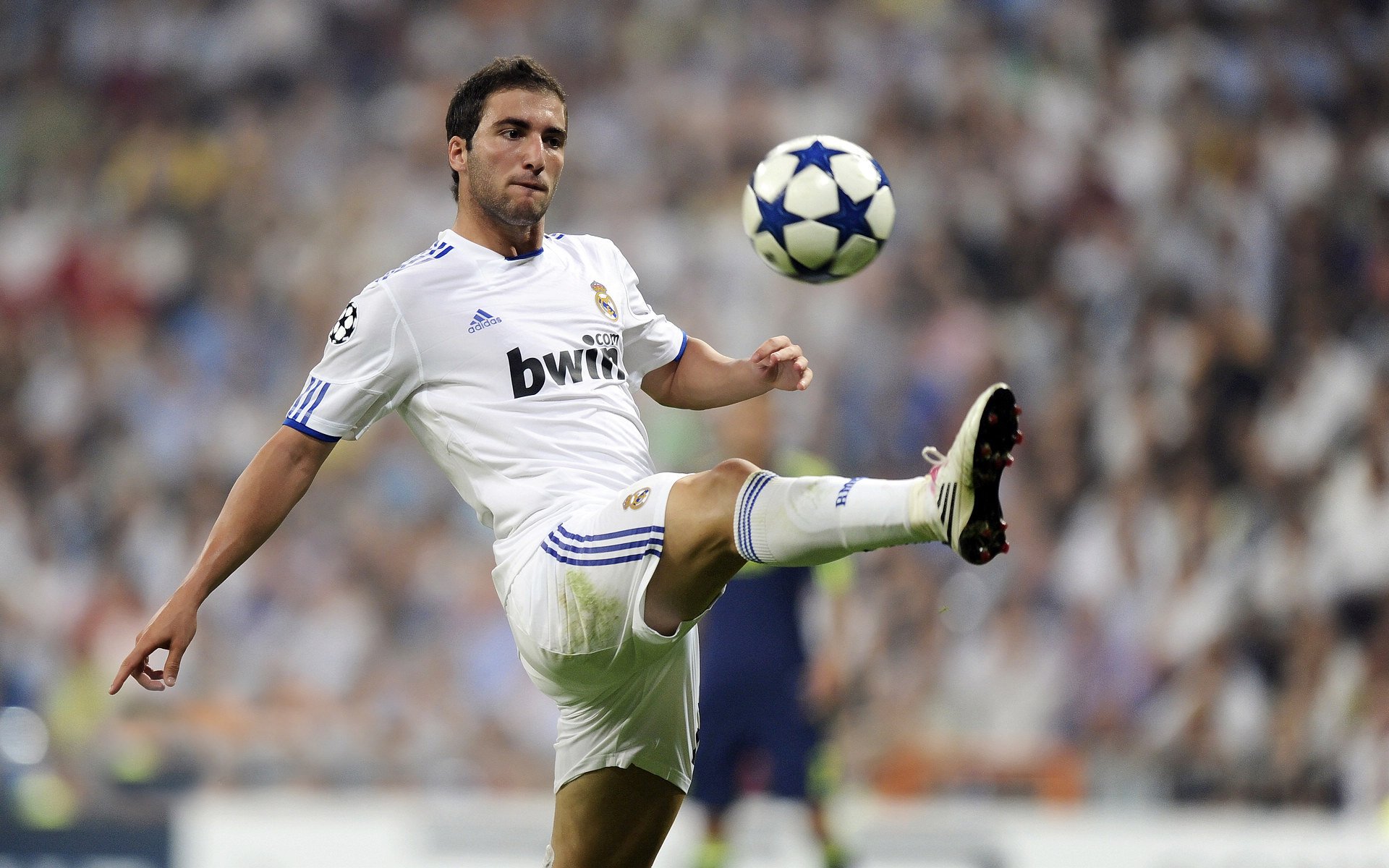 中国足球新政推动青训产业融合，行业格局重塑，中国足球青训补偿及培训费